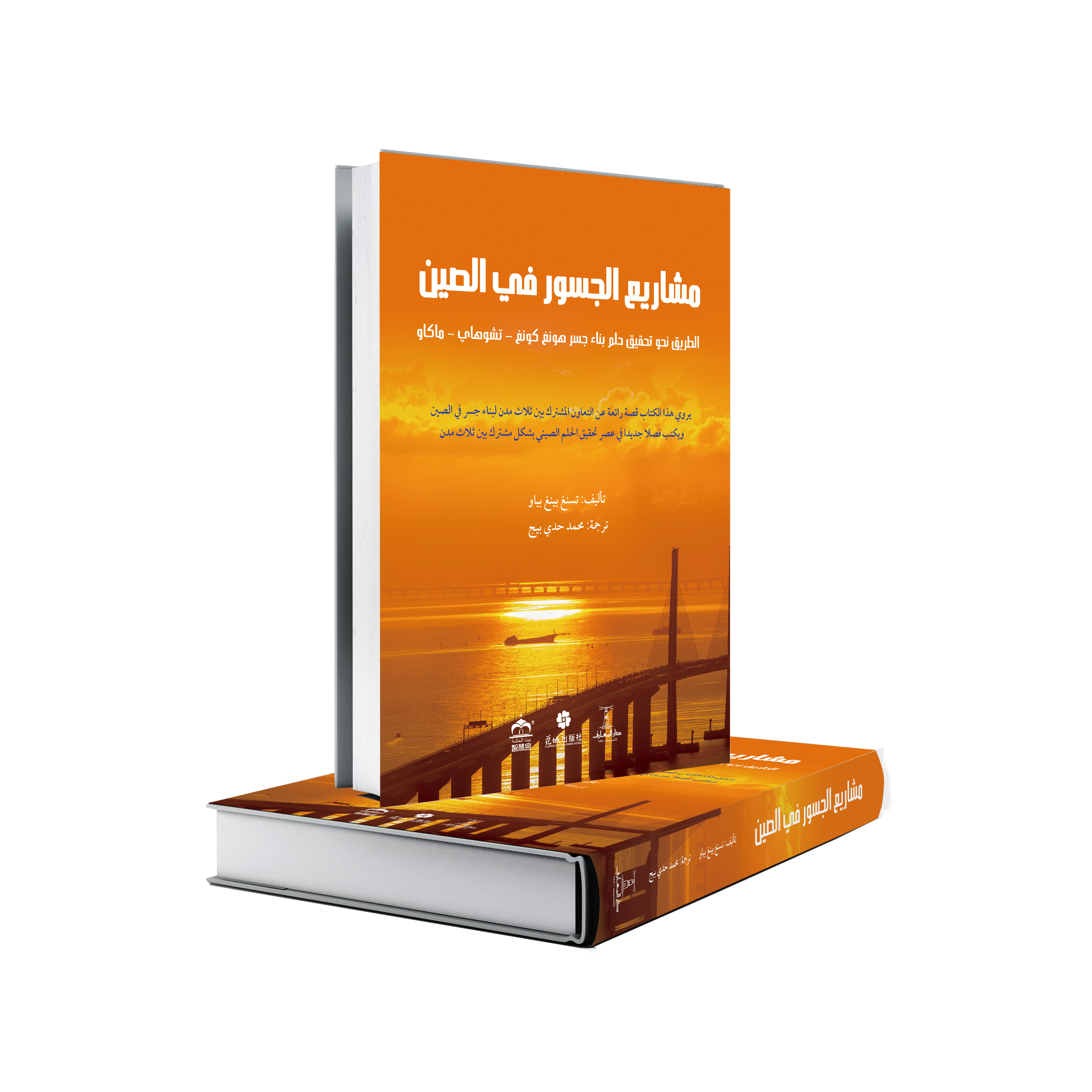 مشاريع الجسور في الصين